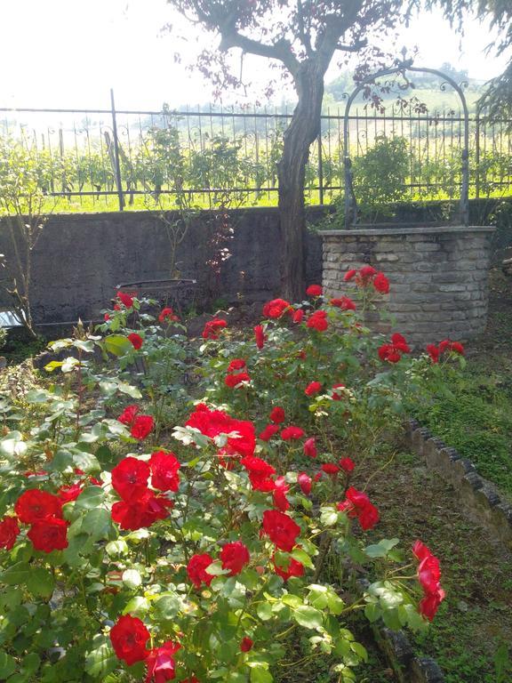 Casa Badinot ξενώνας Diano dʼAlba Δωμάτιο φωτογραφία