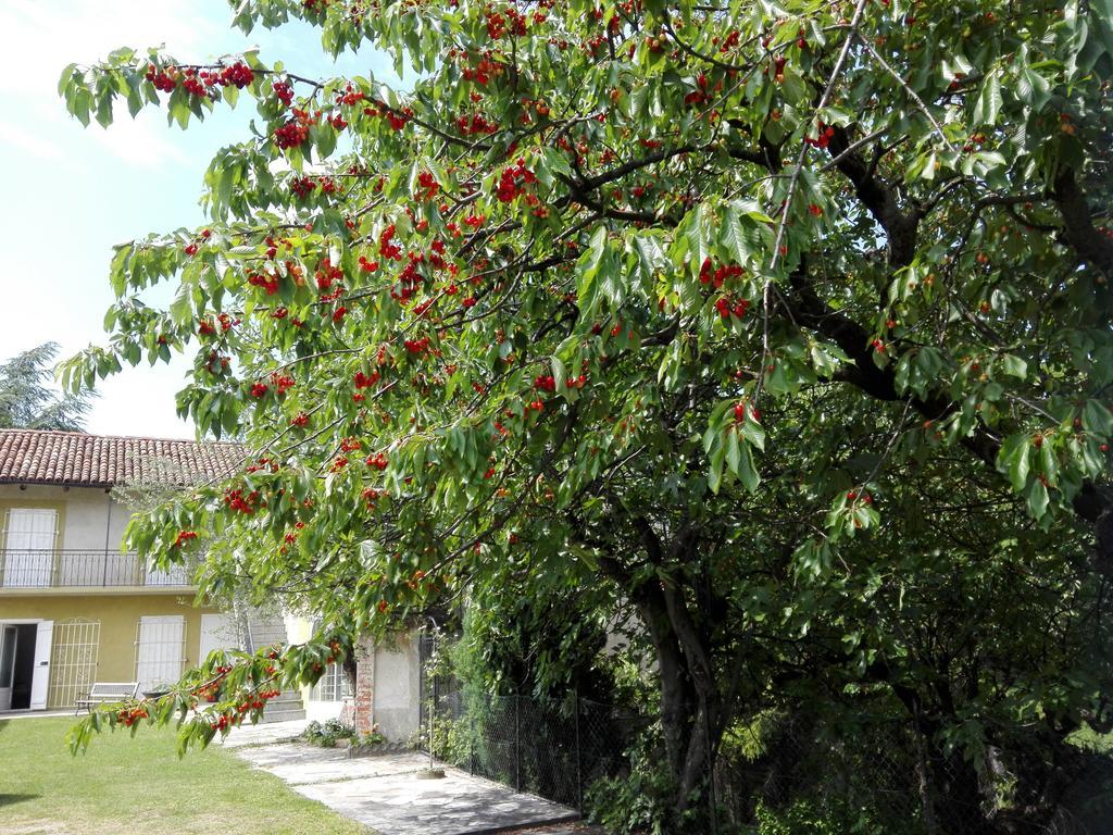 Casa Badinot ξενώνας Diano dʼAlba Εξωτερικό φωτογραφία